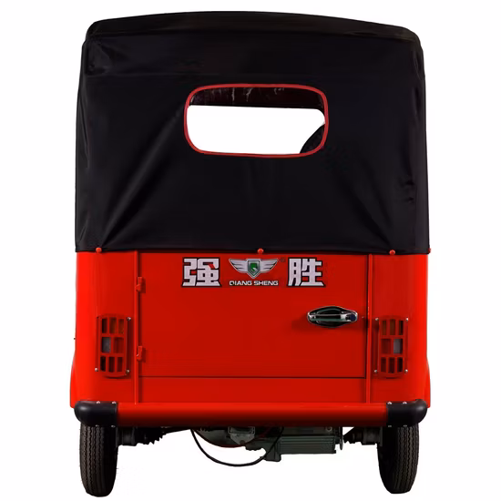 CCC 인증 녹색 에너지 배터리는 4000W 자동차를 갖춘 성인 3 바퀴 레저 전기 세발자전거를 운영했습니다.