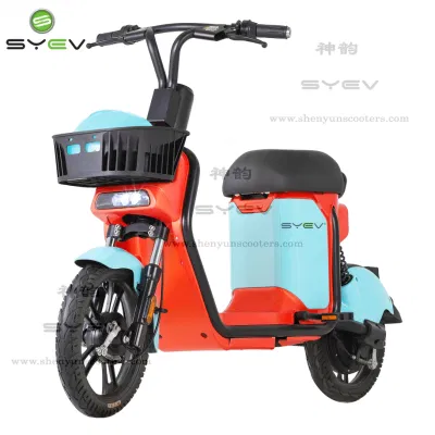 Syev 2022 최고 판매 2륜 48V24ah 350W 경제적인 전기 공유 자전거 E