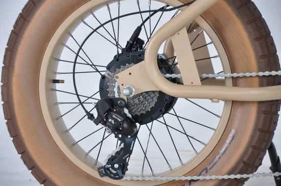 20*4.0 뚱뚱한 타이어 남성 산 및 통근 알루미늄 프레임 전기 자전거 E