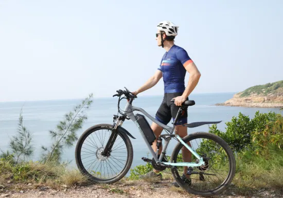 판매를 위한 고성능 풀 서스펜션 마운틴 Ebike 전기 자전거