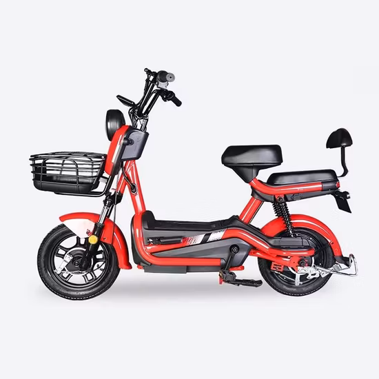 전기 오토바이 48V 750W 지방 타이어 접이식 전기 자전거