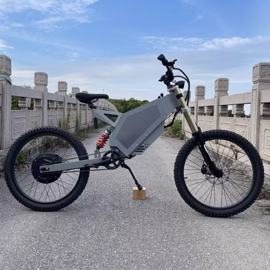 도로 전기 먼지 자전거 산악 도시 Ebike에서 빠른 뚱뚱한 타이어