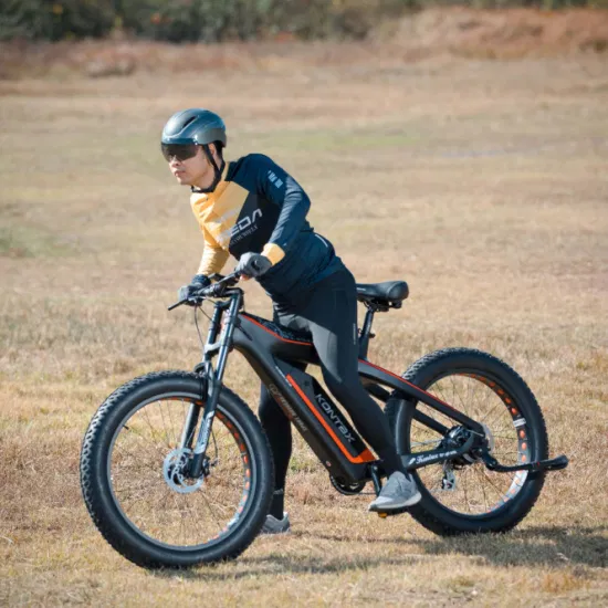 지원 드롭 배송 세련된 디자인 탄소 섬유 Ebike 지방 타이어 전기 자전거 Lectrique 전기 산악 자전거 MTB