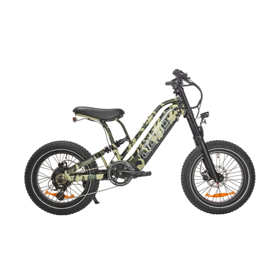 48V/20ah 알루미늄 프레임 Ebike 도로 하이브리드 도시 전기 산악 자전거 자전거